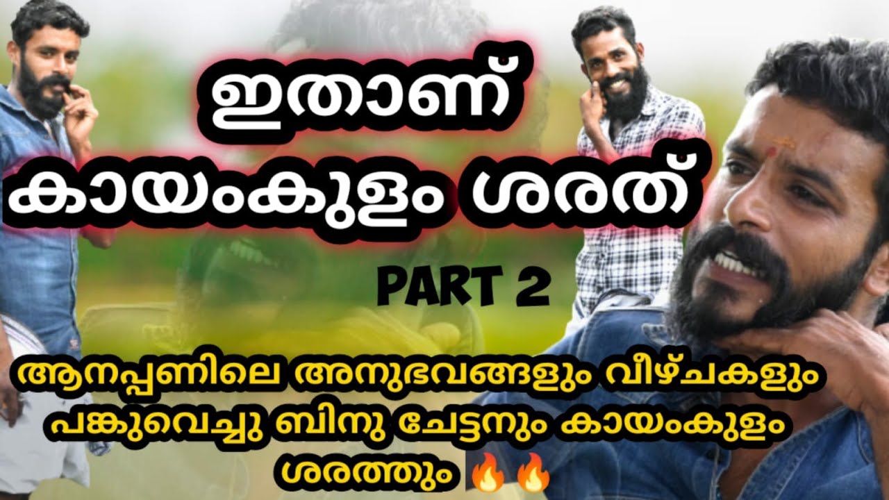 ആനയെ ഓടിപ്പിച്ച ചരിത്രമേ ഉള്ളൂ തിരിഞ്ഞു ഓടിയ ചരിത്രം ഇല്ല kayamkulam sarath 🔥🔥🔥🔥 kaladi binu new