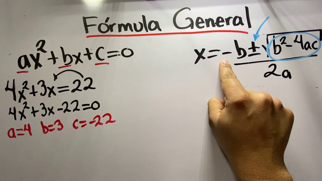 F&oacute;rmula General (La Chicharronera)
