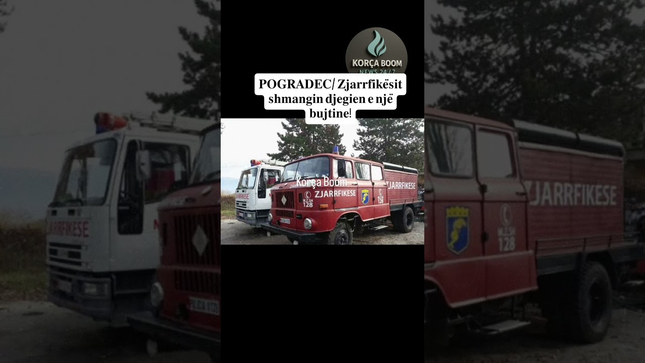 𝐏𝐎𝐆𝐑𝐀𝐃𝐄𝐂/ 𝐙𝐣𝐚𝐫𝐫𝐟𝐢𝐤𝐞̈𝐬𝐢𝐭 𝐬𝐡𝐦𝐚𝐧𝐠𝐢𝐧 𝐝𝐣𝐞𝐠𝐢𝐞𝐧 𝐞 𝐧𝐣𝐞̈ 𝐛𝐮𝐣𝐭𝐢𝐧𝐞!