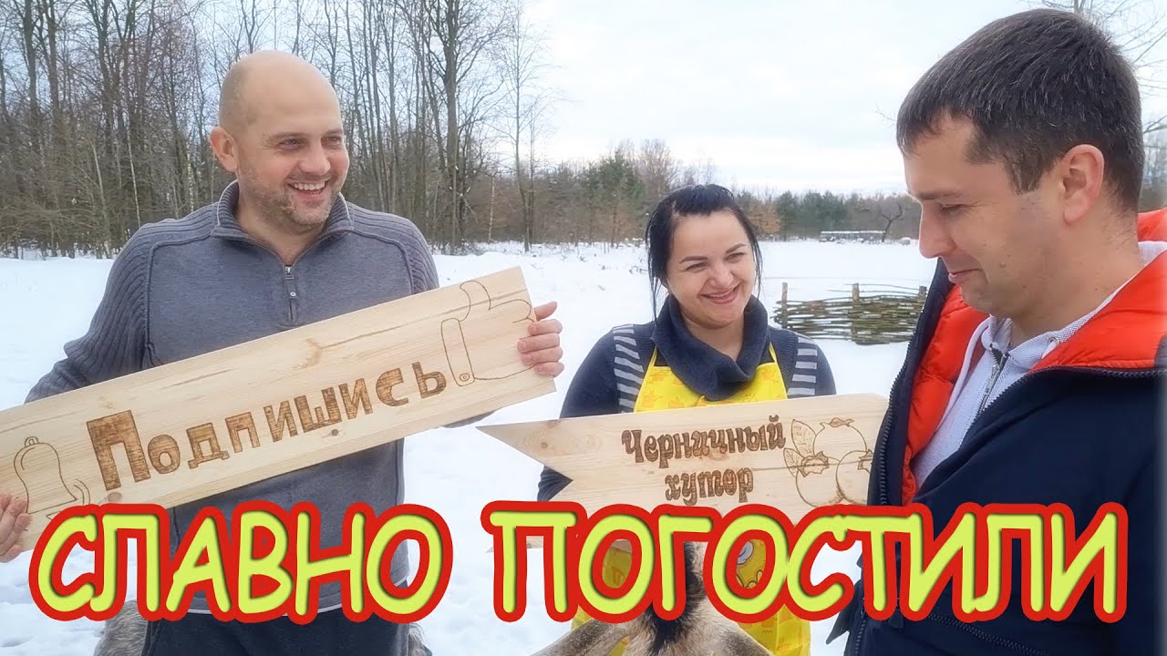 Приколы на черничном хуторе. Как два зятя тёщину сметану делили.