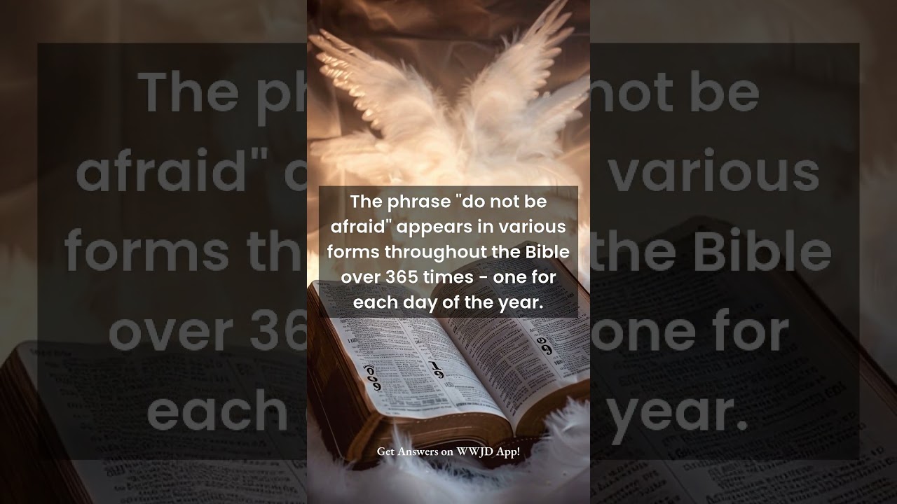 How many times does the Bible say 
