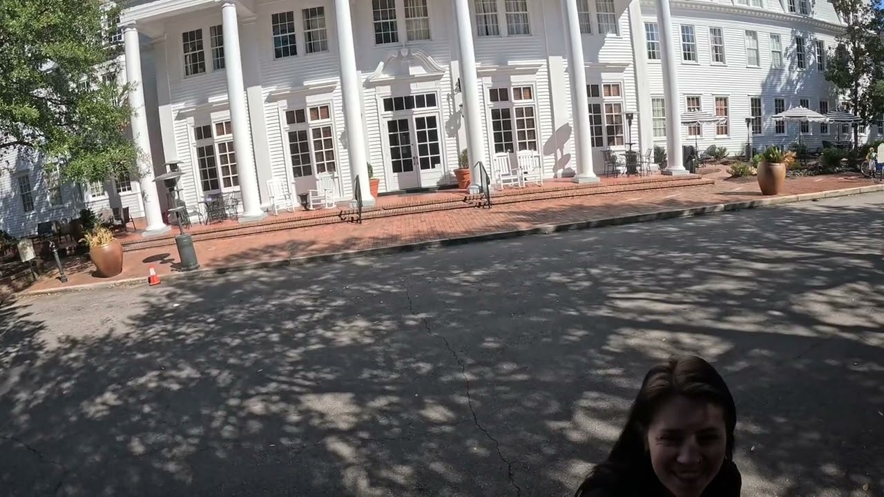 Views From the Travel Saddle Cam: Aiken Hitchcock Woods