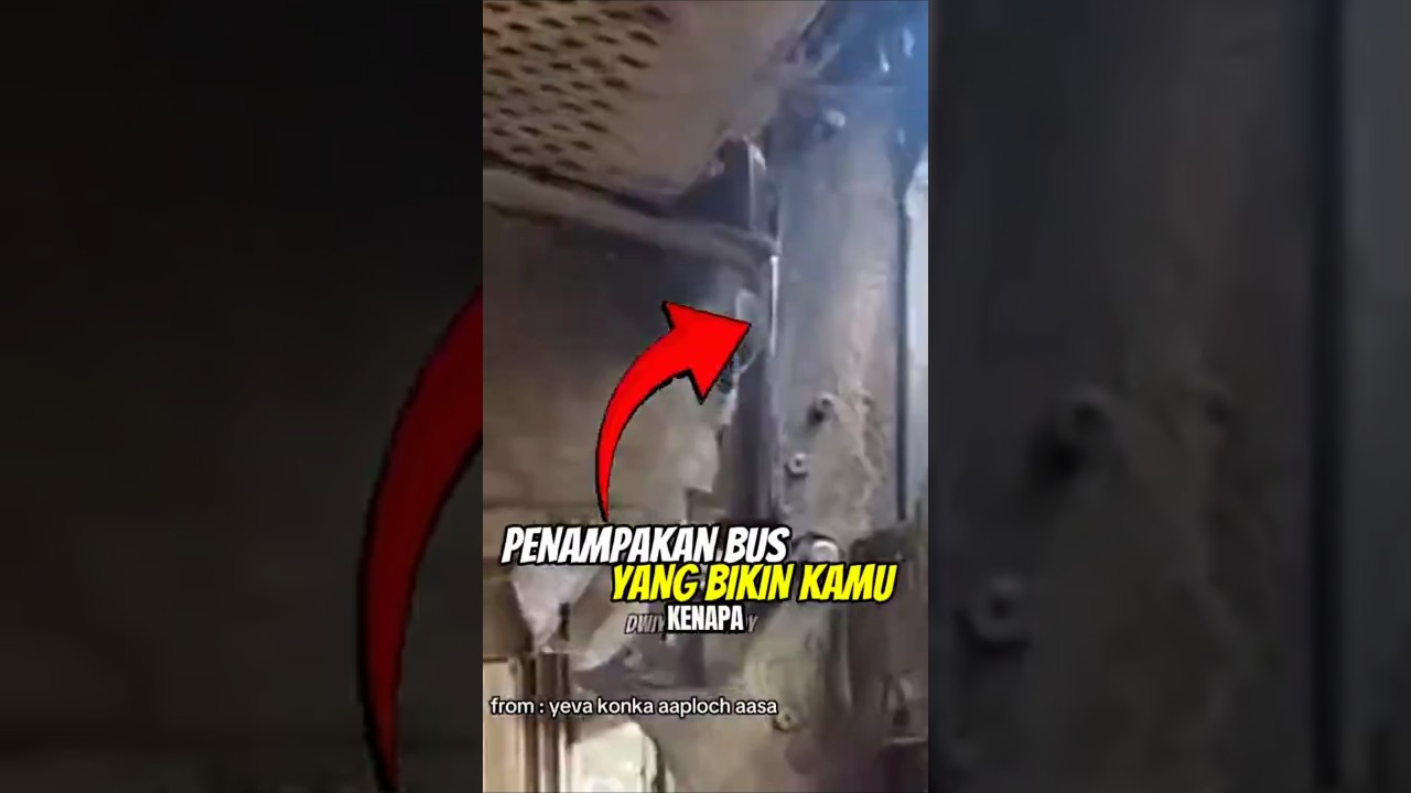 ASLI PARAH BANGET ‼️Body Bus dari Luar Negeri Ternyata #automobile #busmania