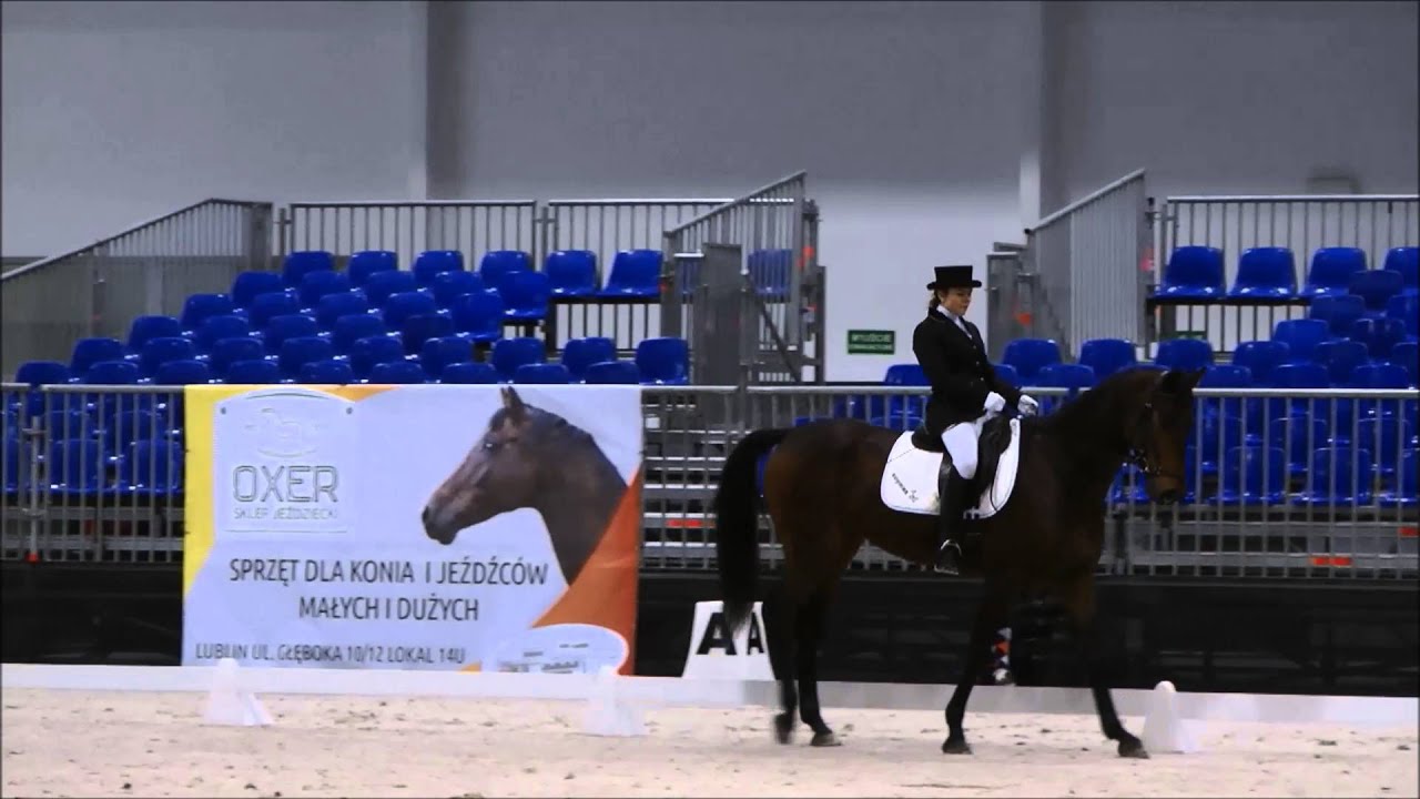 Precavaliada 2016 - C1