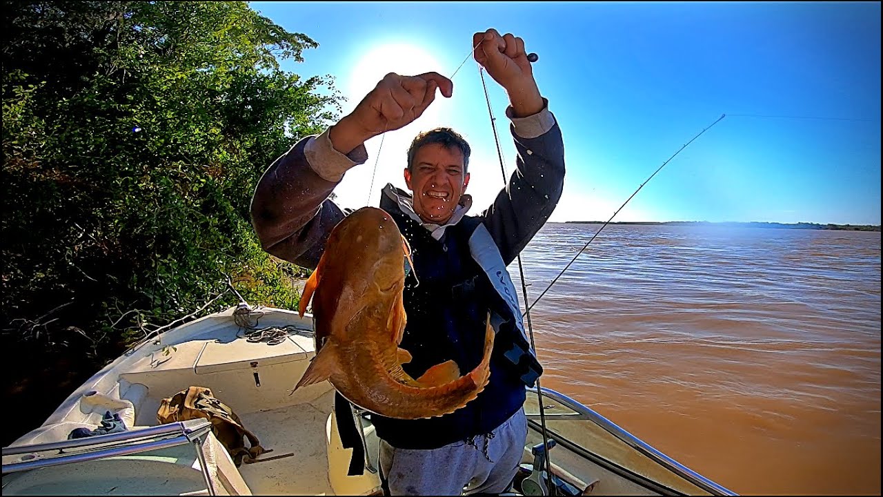 PESCA Y COCINA EN LA ISLA. Santa fe, Alejandra. Catch and cook