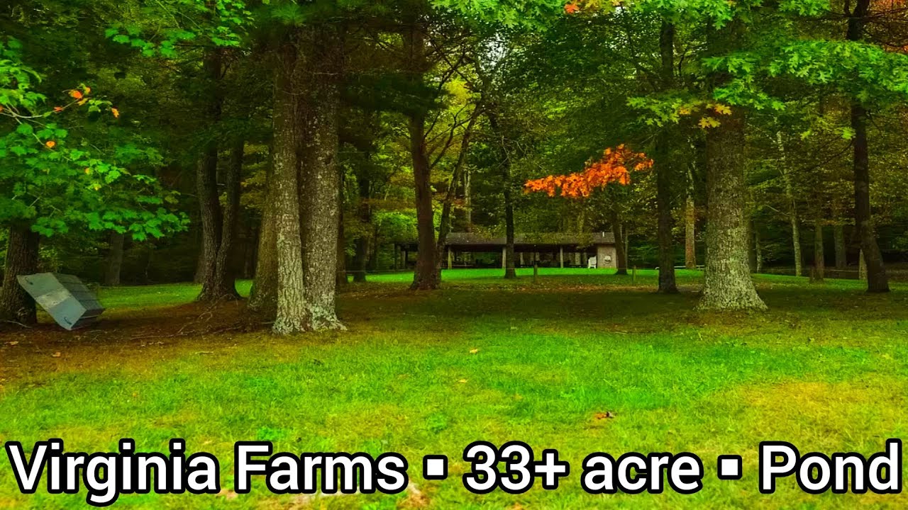 Virginia Farmhouse For Sale | $595k| 33+ acre Virginia Farms For Sale| Virginia Real Estate For Sale