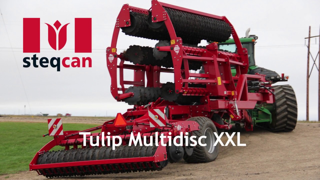 Tulip MultidiscXXL