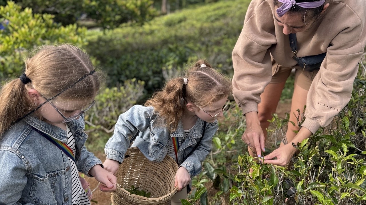 Exploring Ramboda & Glenloch Tea Factory | Sri Lanka Travel Vlog