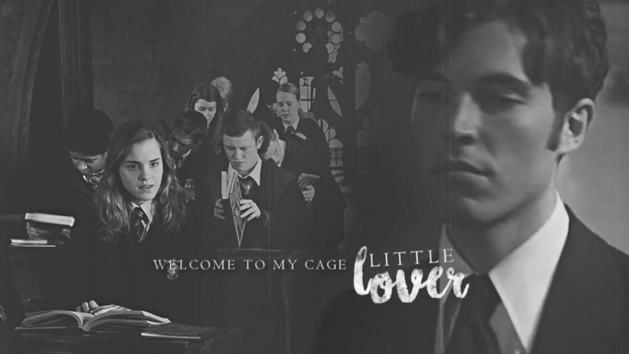 Hermione & Tom - Welcome to my cage little lover |AU|