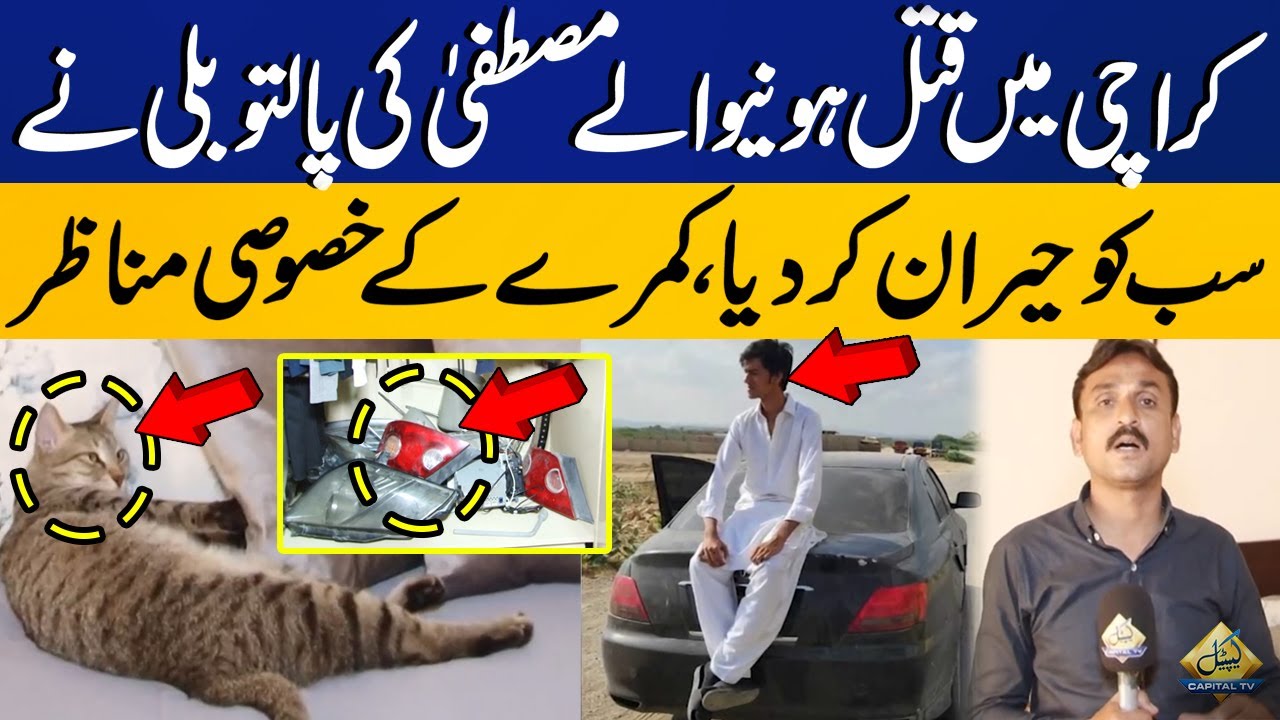 Mustafa Amir Case | Mustafa's Pet Cat Surprises Everyone | Exclusive Scenes of Mustafa's Room