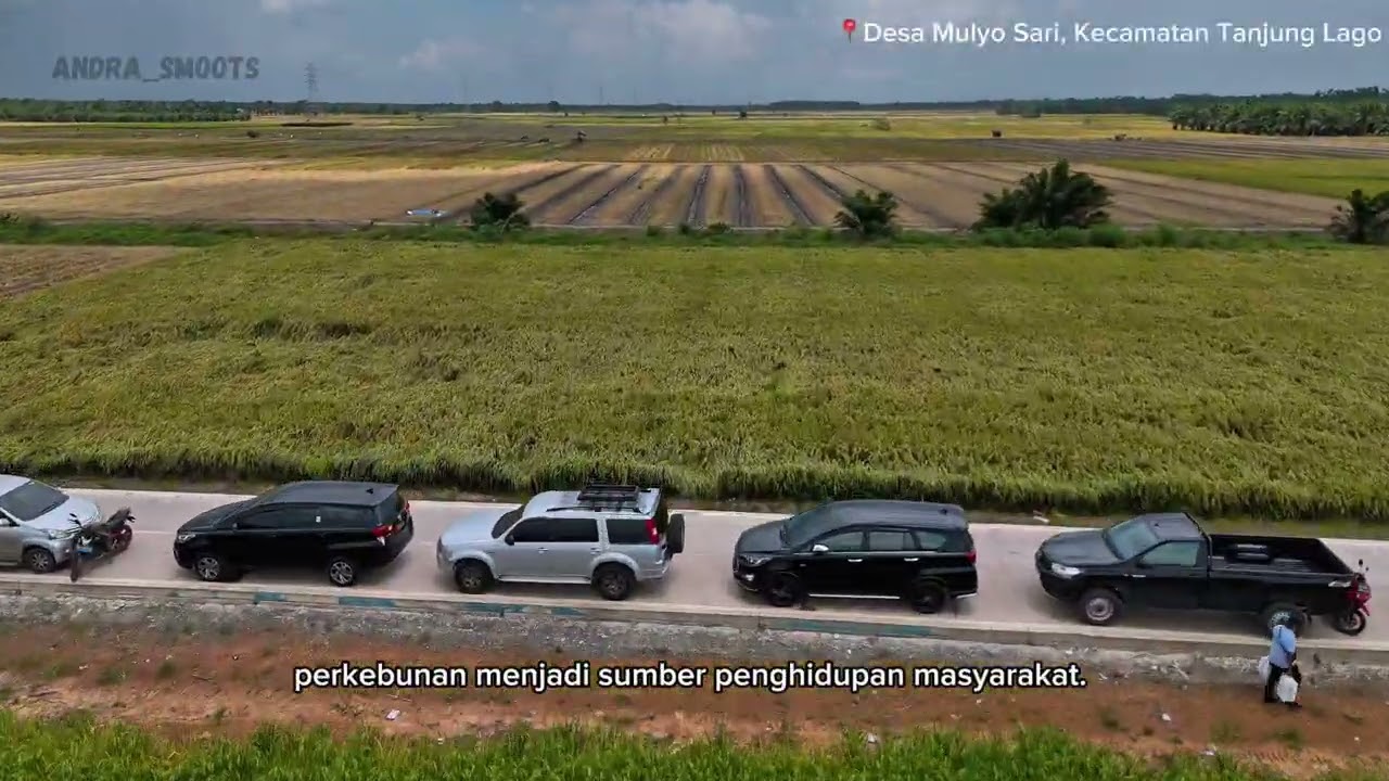 Desa Mulyo Sari: Dari Lahan Rawa Menjadi Penopang Ketahanan Pangan Banyuasin