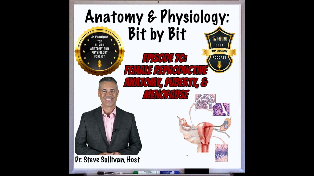 Female Reproductive Anatomy, Puberty, and Menopause - Episode 70
