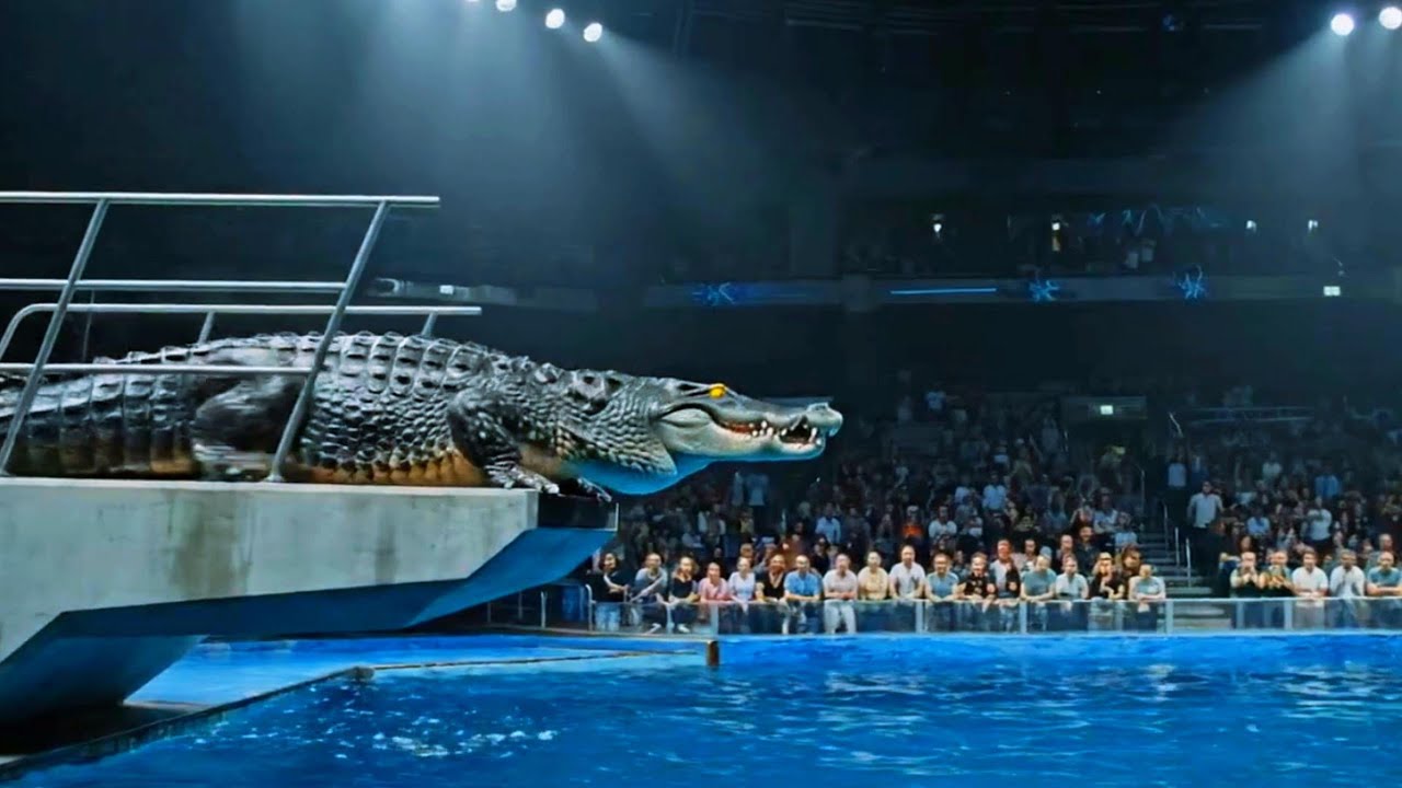 Crocodile Olympics | Springboard Event | Animal Olympics diving board