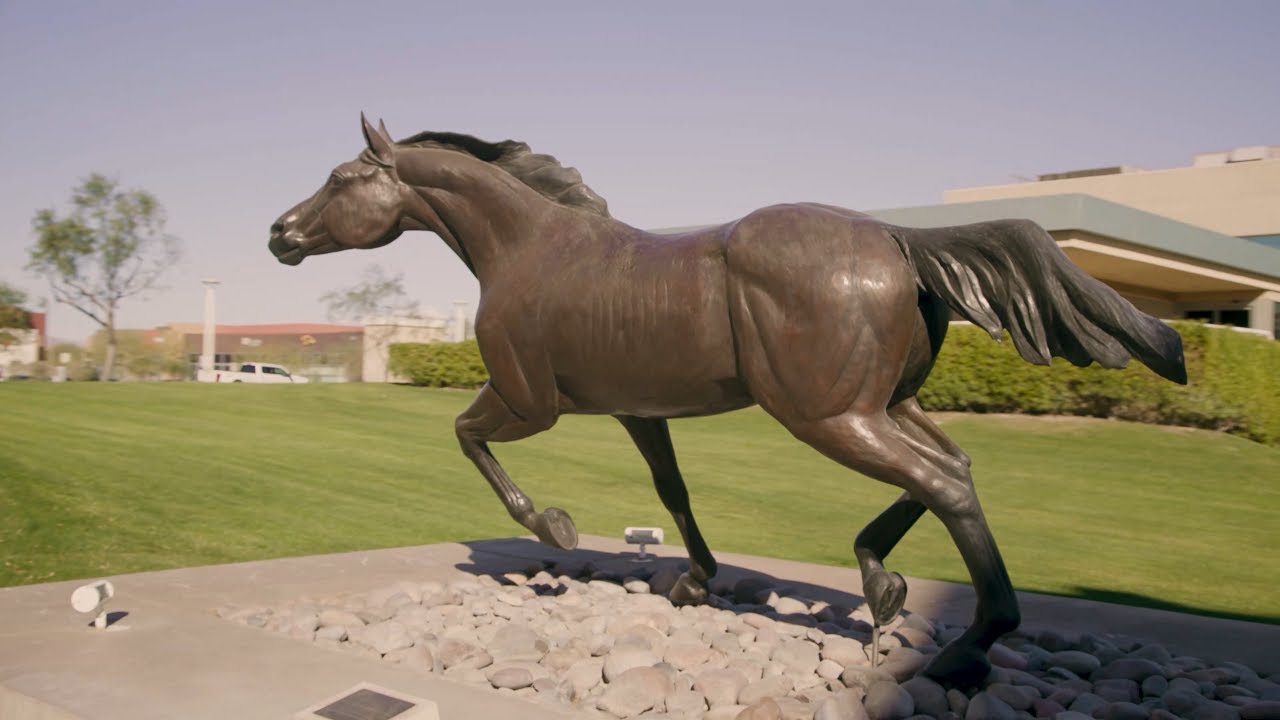 CSUSB Convocation Faculty Meeting 2025 Livestream
