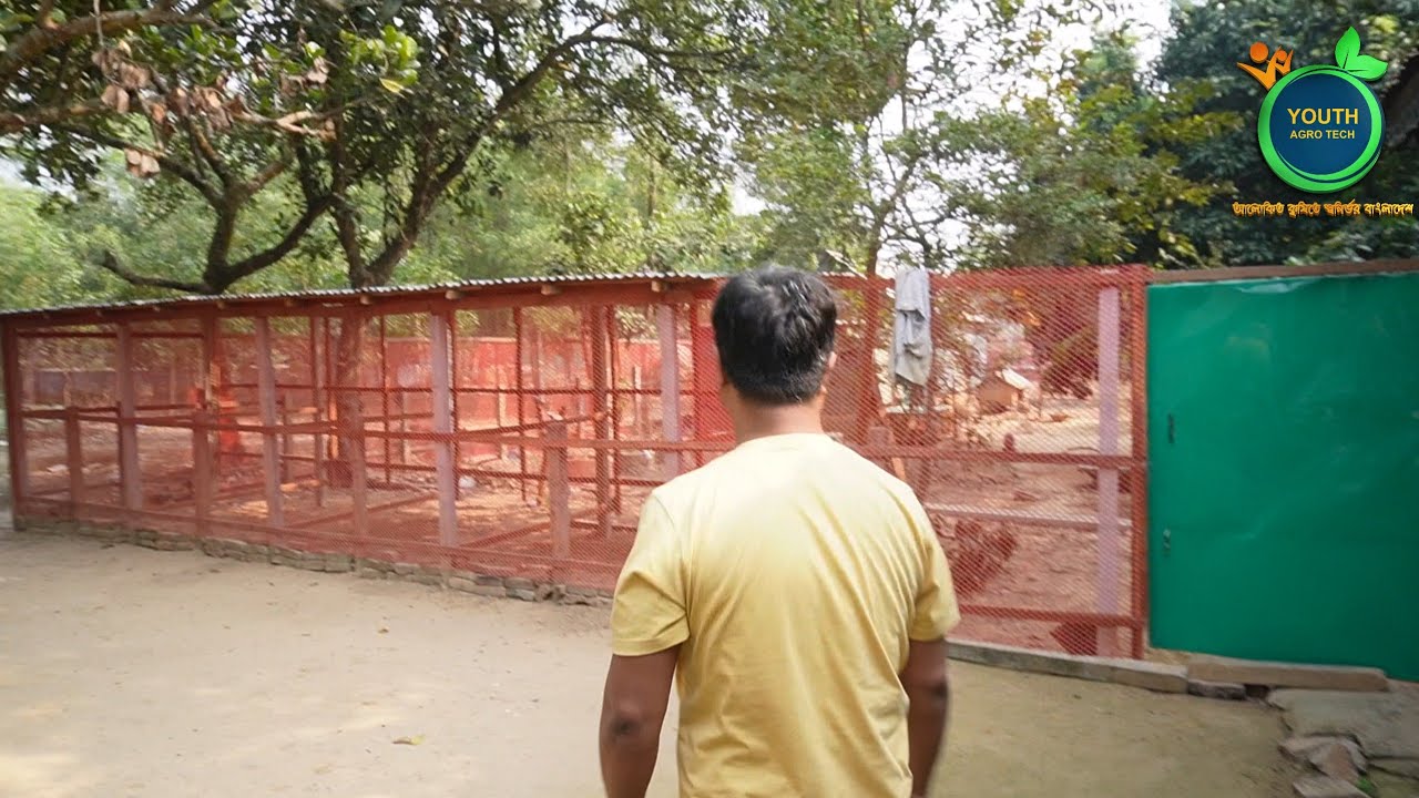 মুরগী পালনে দৈর্য্য লাগে || তাহলে আপনিও সফল হবেন || Youth agro