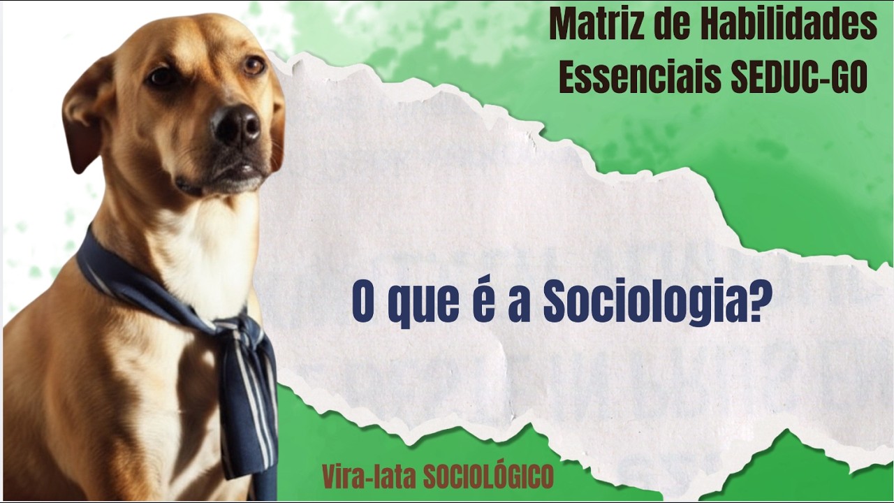 COMPREENDA DE VEZ: O que é a SOCIOLOGIA?