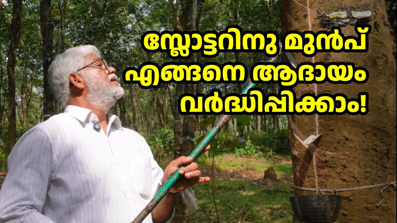 ഗൂജ് കത്തി ഉപയോഗിക്കൂ - കൂടുതൽ ആദായം നേടൂ | Gouge Knife Demonstration