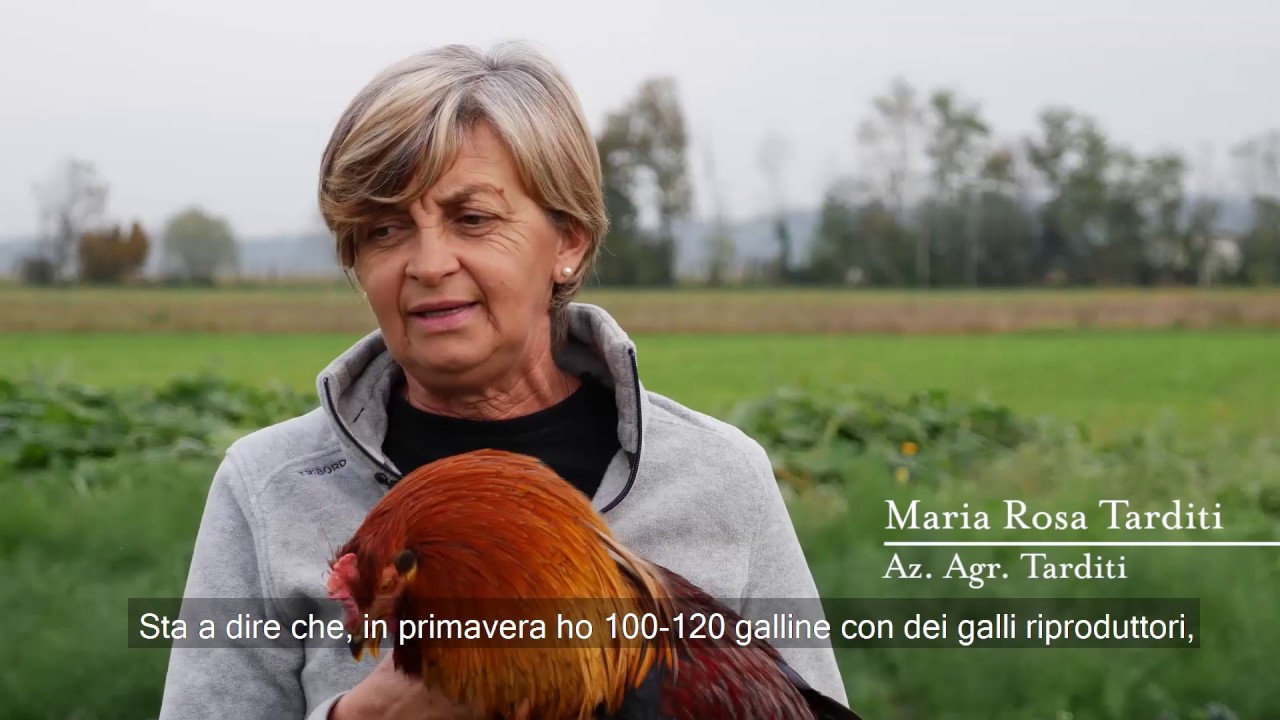 Il Cappone di Morozzo | I produttori di Eataly
