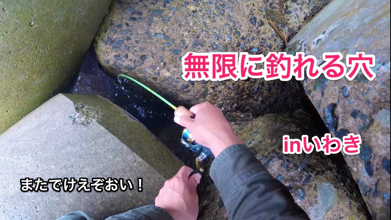 【いわきで無限に釣れる穴を発見。穴釣り&ちょい投げ釣り】青イソメvsキビナゴどっちが釣れるの？検証