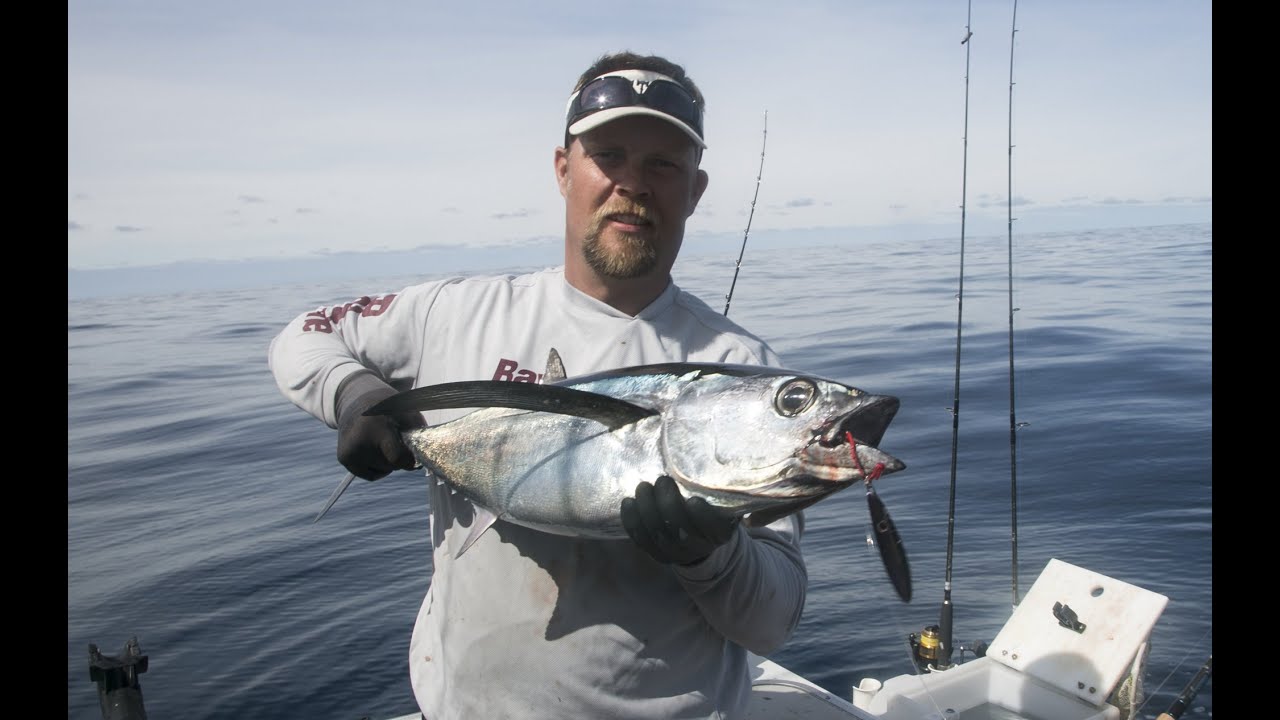 Oregon Coast Albacore Fishing With Live Bait & Iron