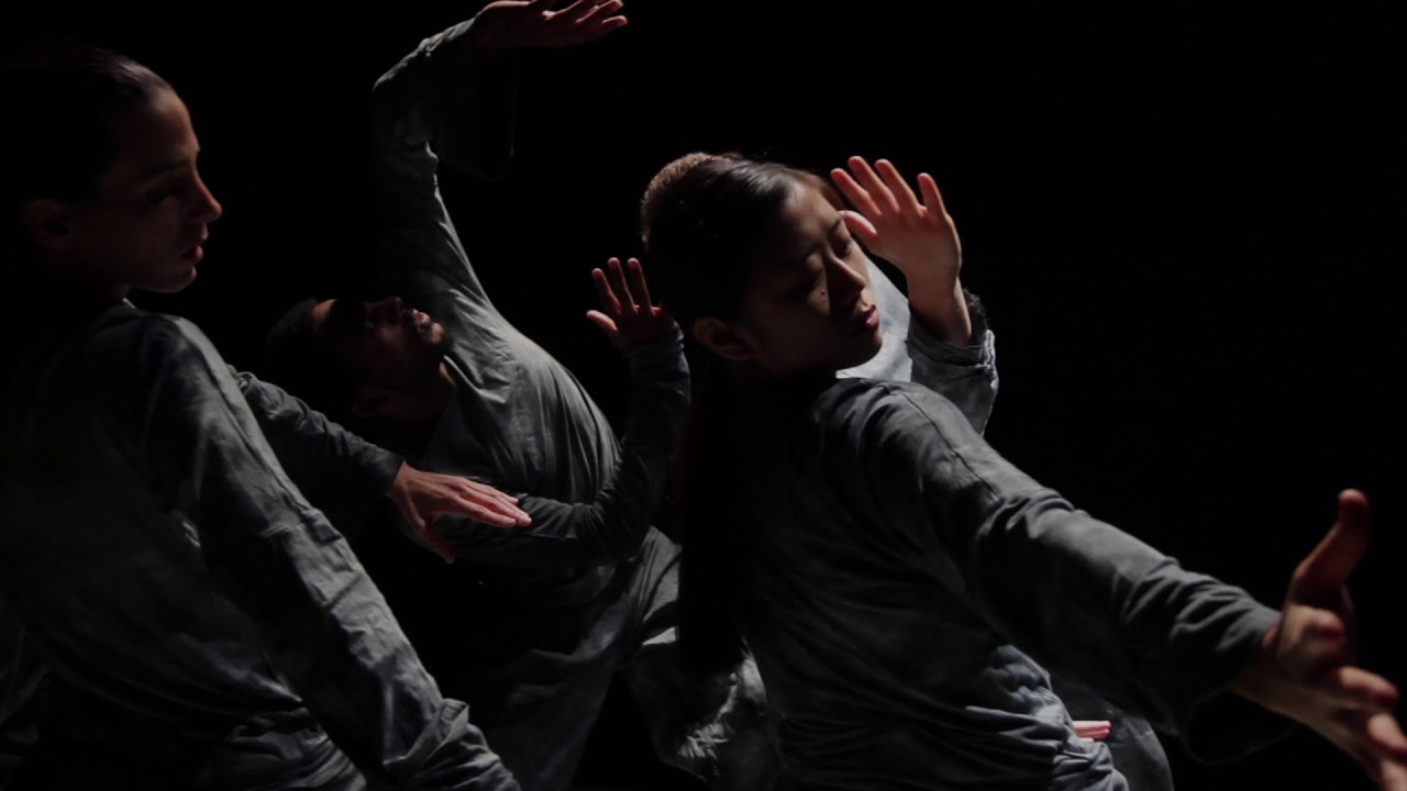 Humanhood | Torus trailer