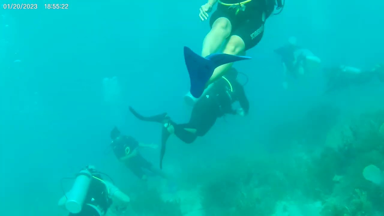 Mexico Dive Jen and Brian