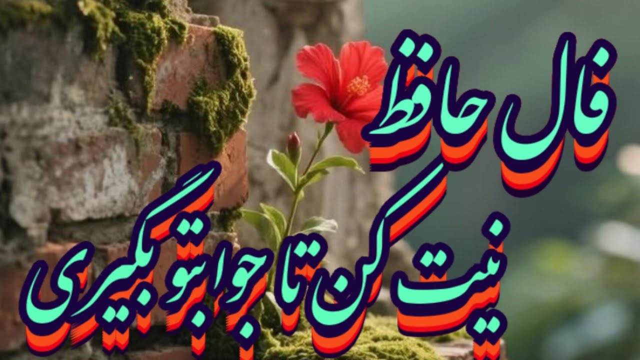 حافظ برات خبری از عالم غیب داره 💯📖 نیت کن#فال_دقیق#حافظ_راز#فال_حافظ#بازگشت_معشوق#ادبیات_فارسی#فال