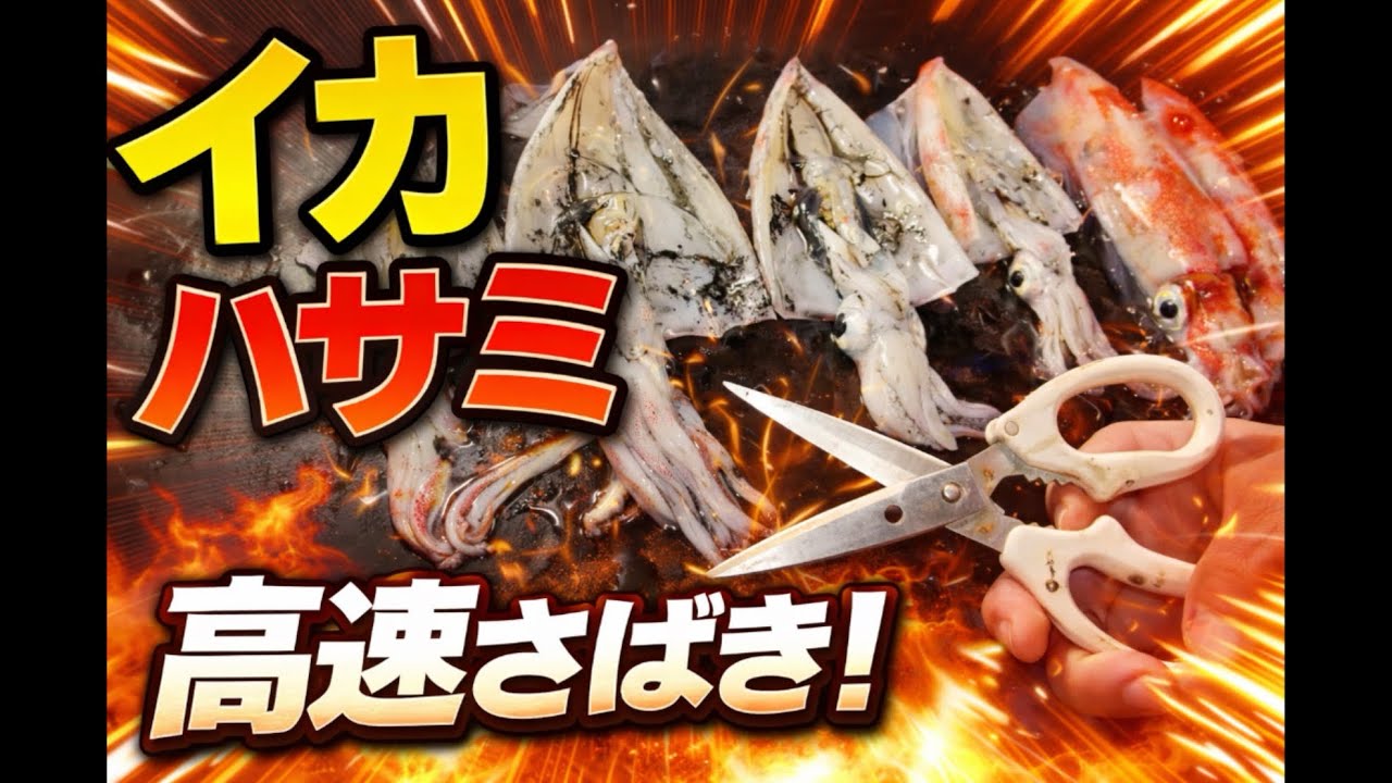 包丁いらん！見やすく簡単！イカの捌き方