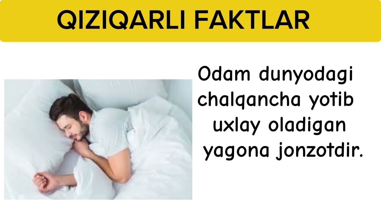 Buni bilarmidingiz? | Qiziqarli faktlar