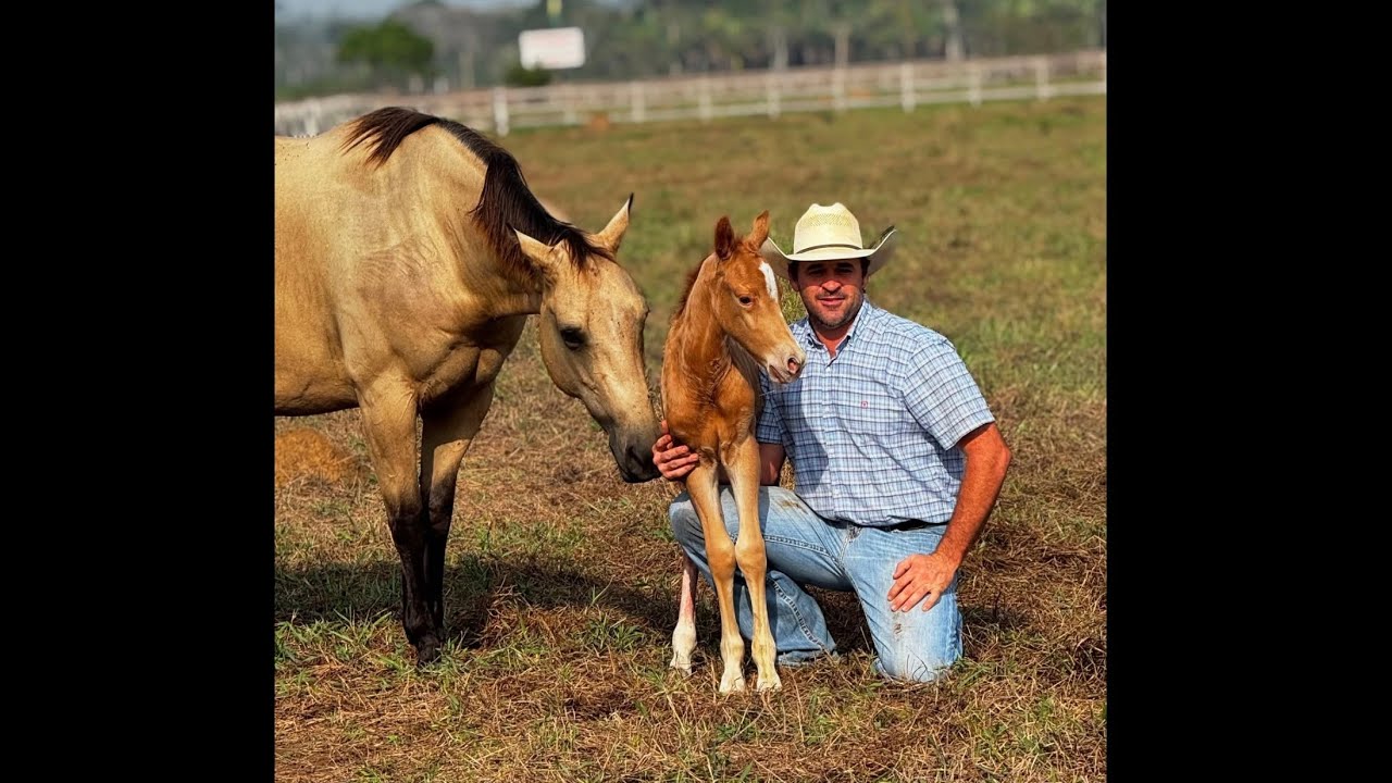 "How Famous Ropers Dominate the Arena: A Tribute to Legendary Cowboys in Action!"