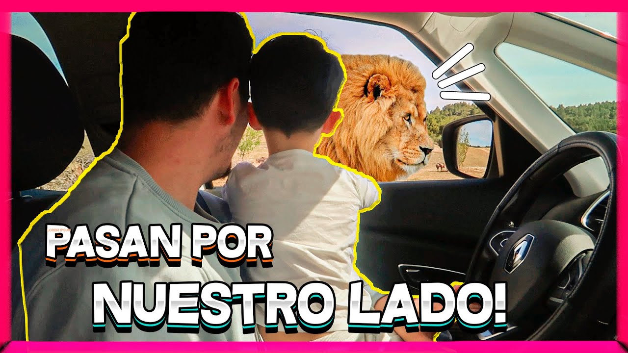 ATACAN a NUESTRO HIJO!!😰| NOS vamos a la RESERVA AFRICANA SIGEAN 2023🦓🦁