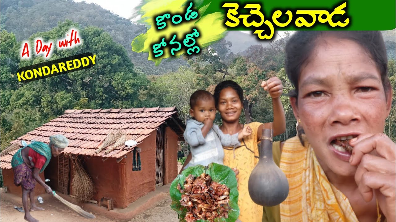దండకారణ్యంలో గిరిబిడ్డలు-Tribal wildlife 