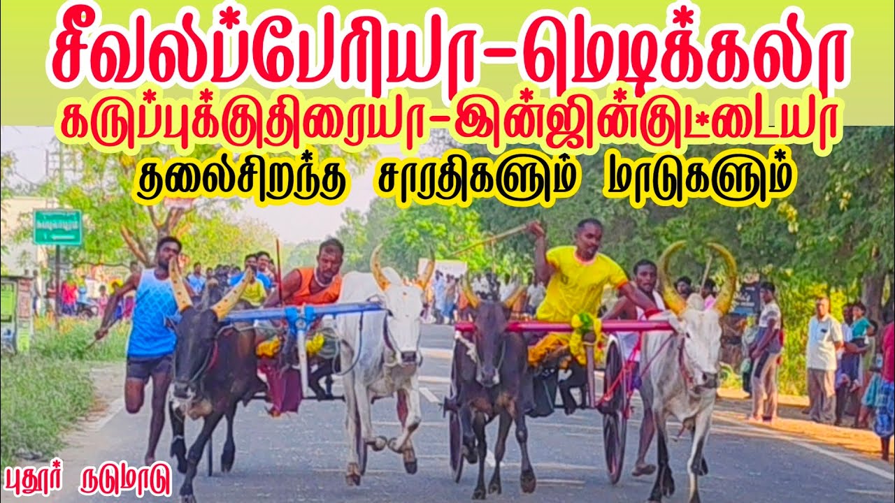 1 தூத்துக்குடி மாவட்டம் புதூர் பந்தயம்