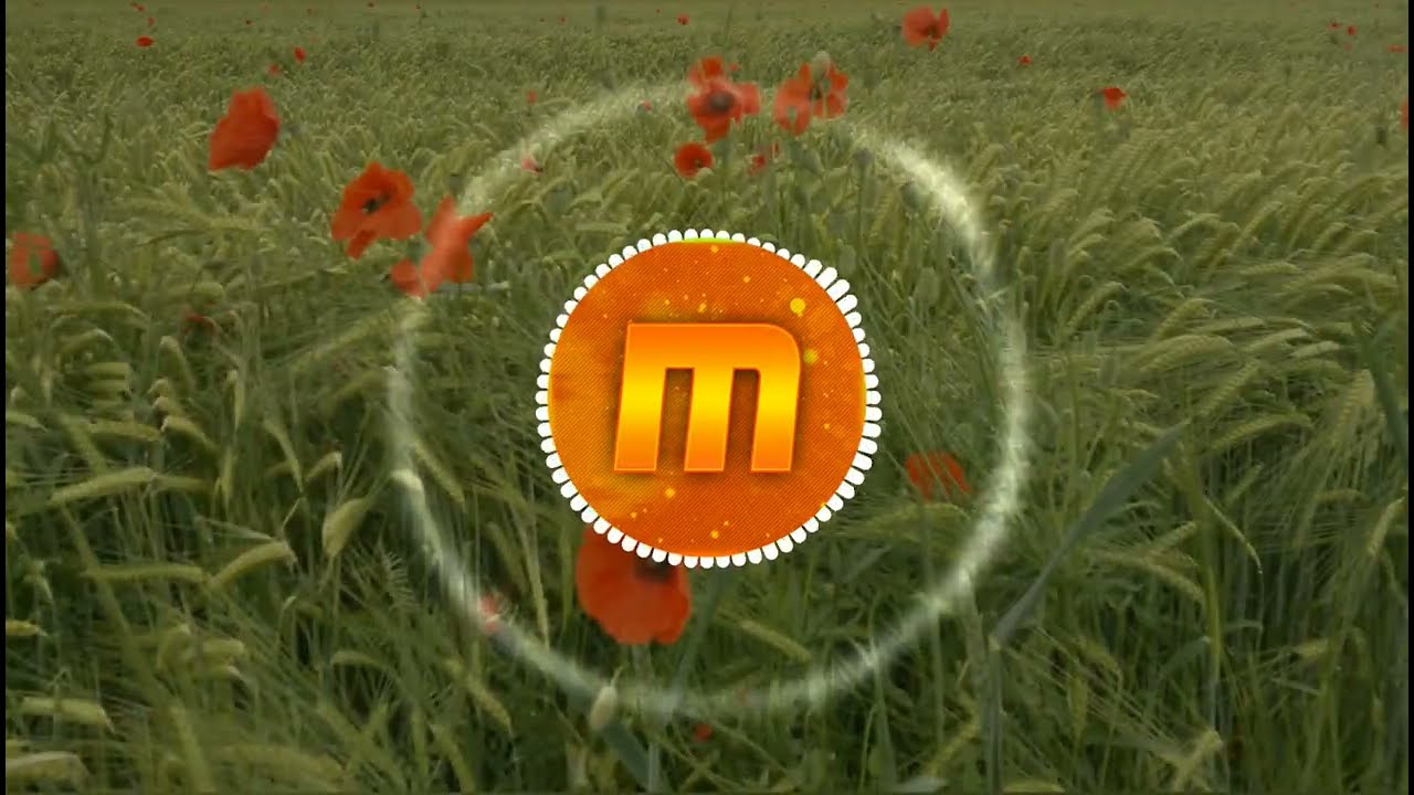 Siała baba mak (Marchewa 4Fun Vixa Remix)