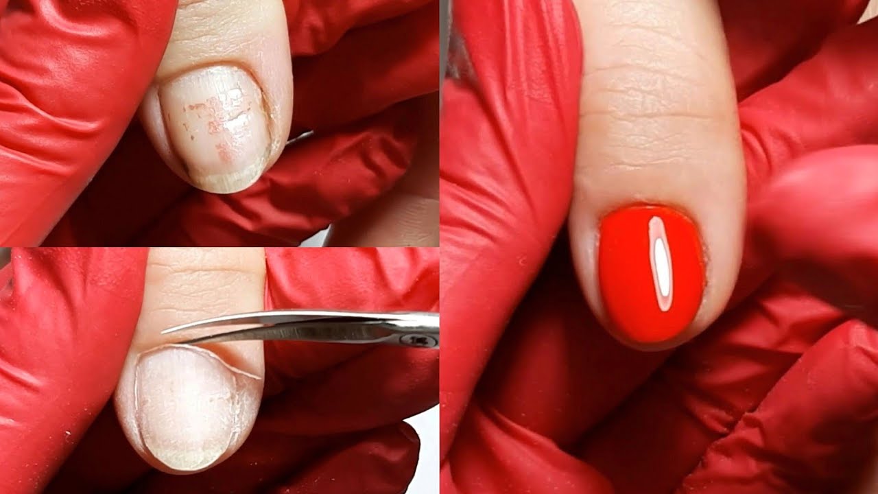 Semi cu baza rubber, explicații pas cu pas ✅
