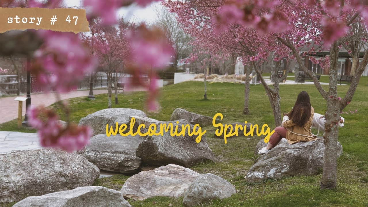 A Slow and Gentle Transition into SPRING 🌸 Apartment Refresh | Welcoming Spring Mindfully