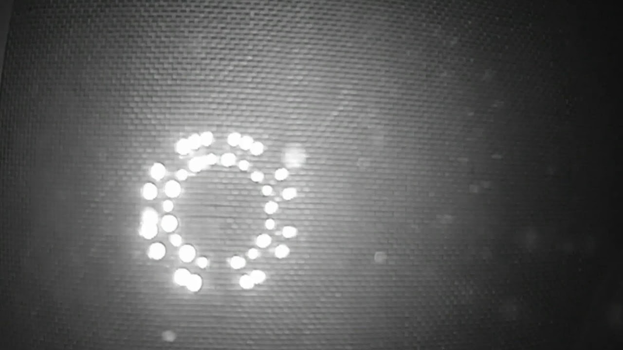 Grandma-Z Backyard CCTV Camera Stream (2/24/2026, Stream 2)