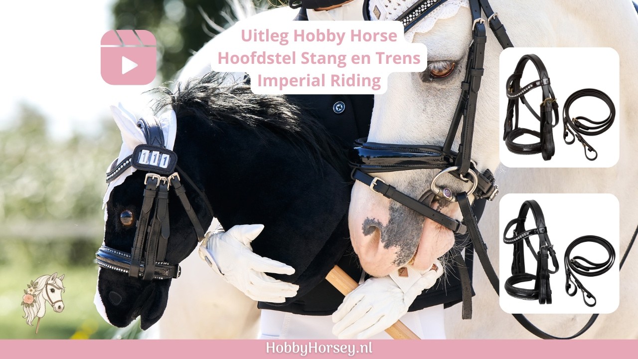 Uitleg en Review Hobby Horse Hoofdstel met Stang en Trens 2026