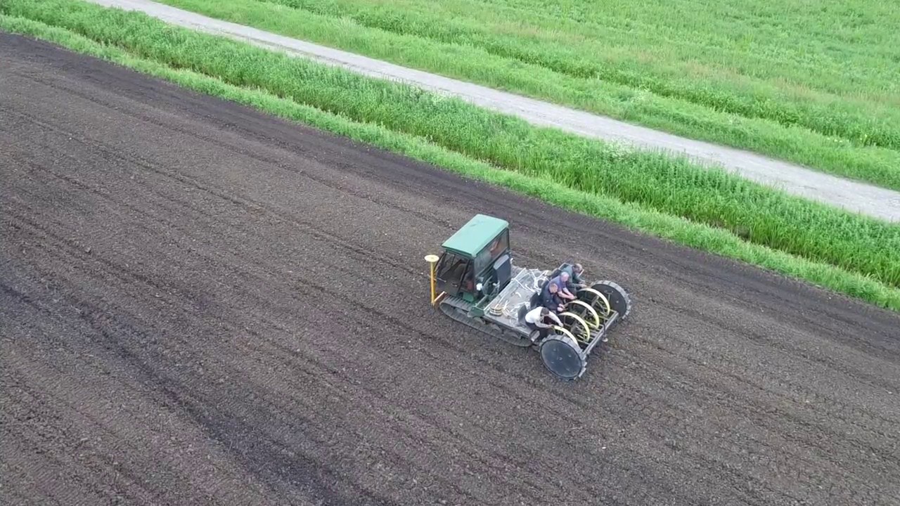 Drone Video of Willow Planting in Somerset