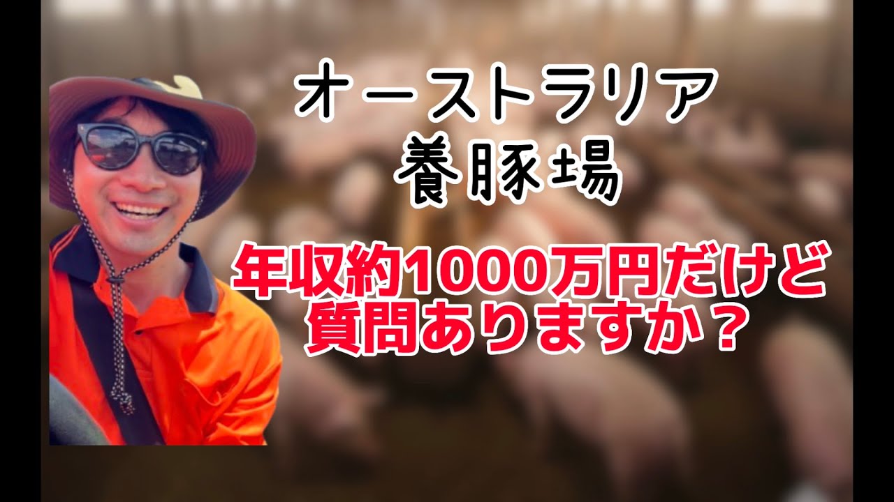 【年収1000万】海外の養豚場勤務は本当に地獄なのか？？