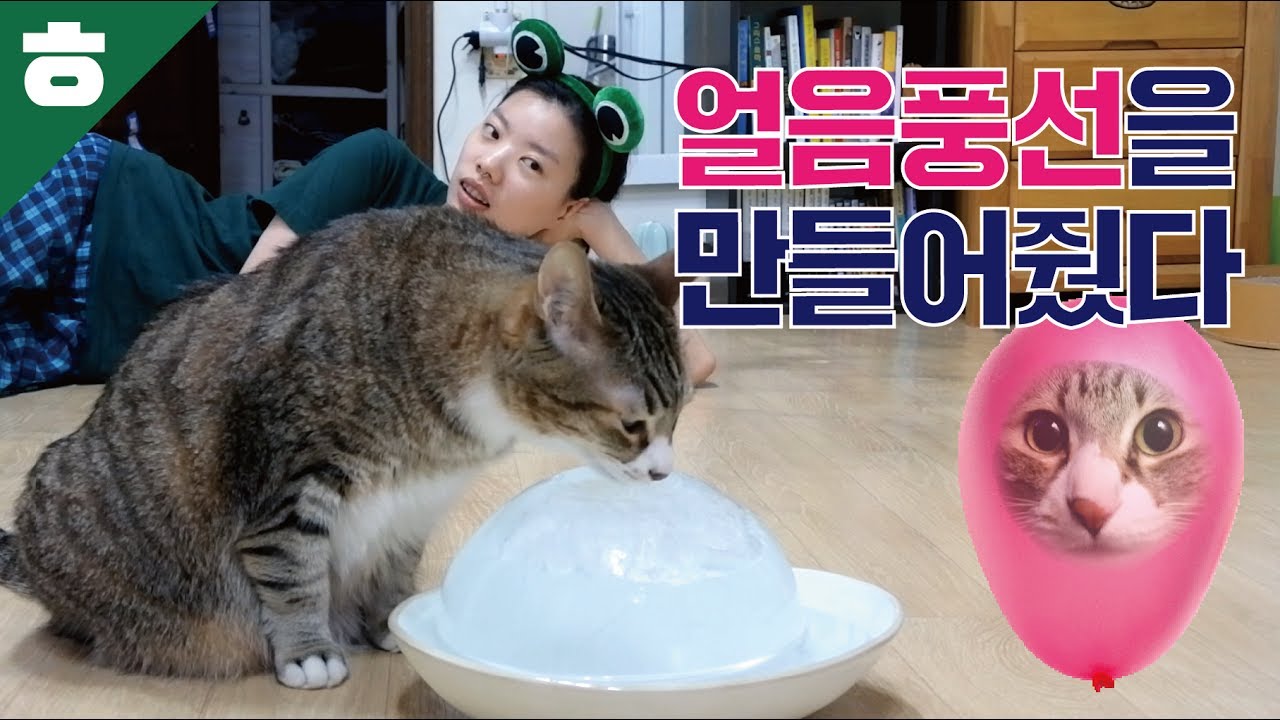 (ENG SUB)구름이가 얼음풍선을 좋아해줄까? [햄튜브]