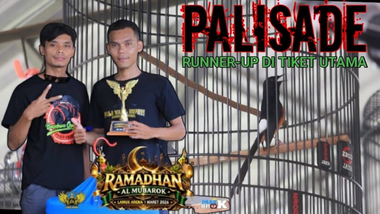 MAIN NGUNCI DURASI NONSTOP PALISADE RUNNERUP DI TIKET UTAMA #kicaumania #lombaburung 