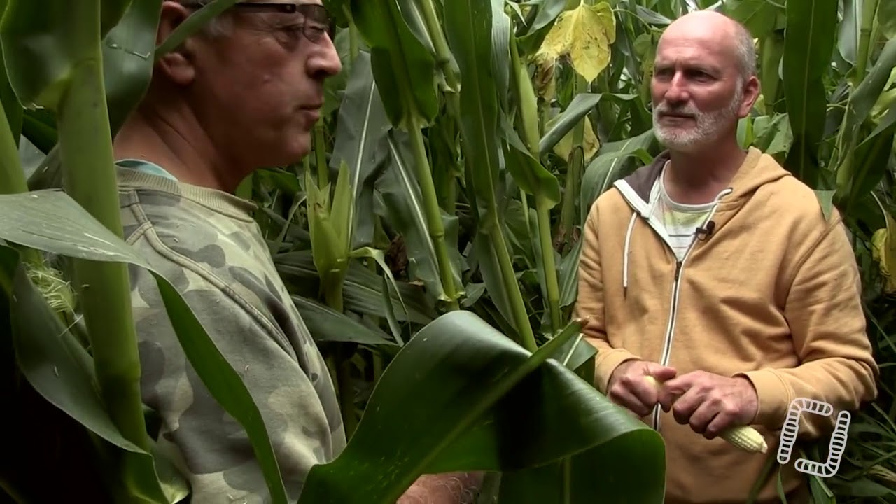 LVH : Visite de Ferme de Christian ABADIE avec Konrad SCHREIBER By @La Vache Heureuse