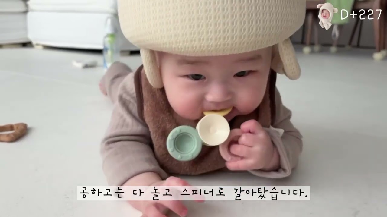 육아기록 | 일상기록 | 성장일기 | 260126-0201 꾀돌이