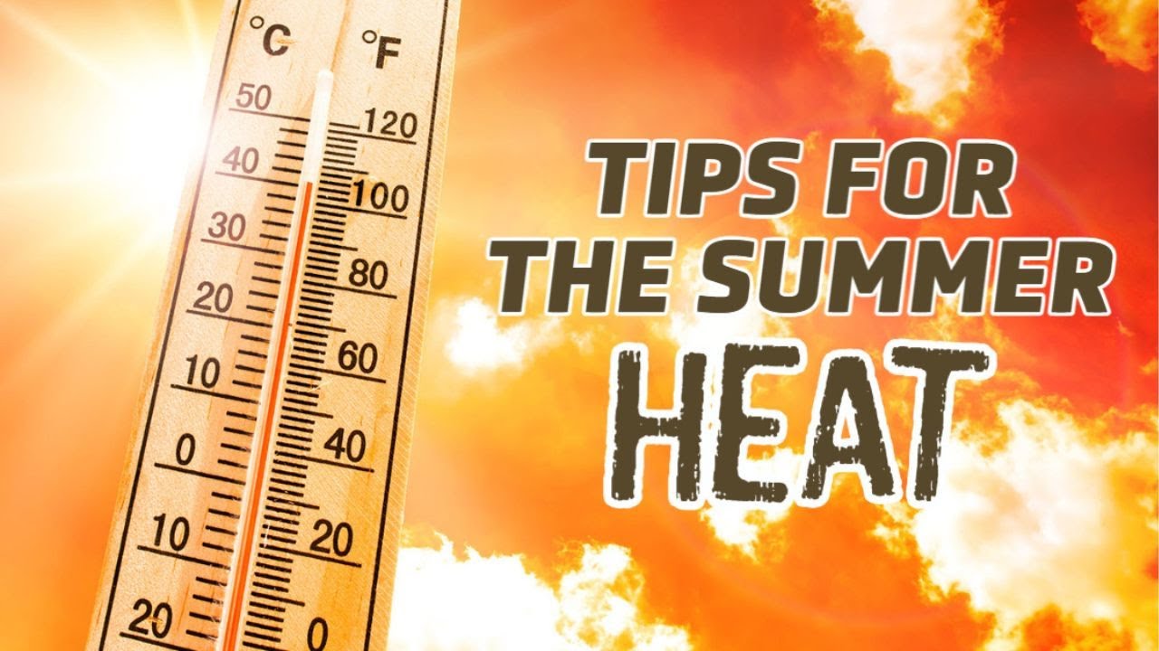 5 Pro Tips To Stay Cool & Safe While Fishing In The Summer Heat