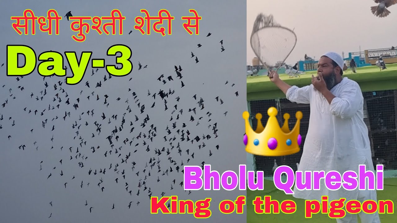 भोलू भाई ने 300 कबूतर की सीधी कुश्ती डालदी शेदी से आज अमरोहा में। दूसरी तालीम के लोगो ने किया स्वागत