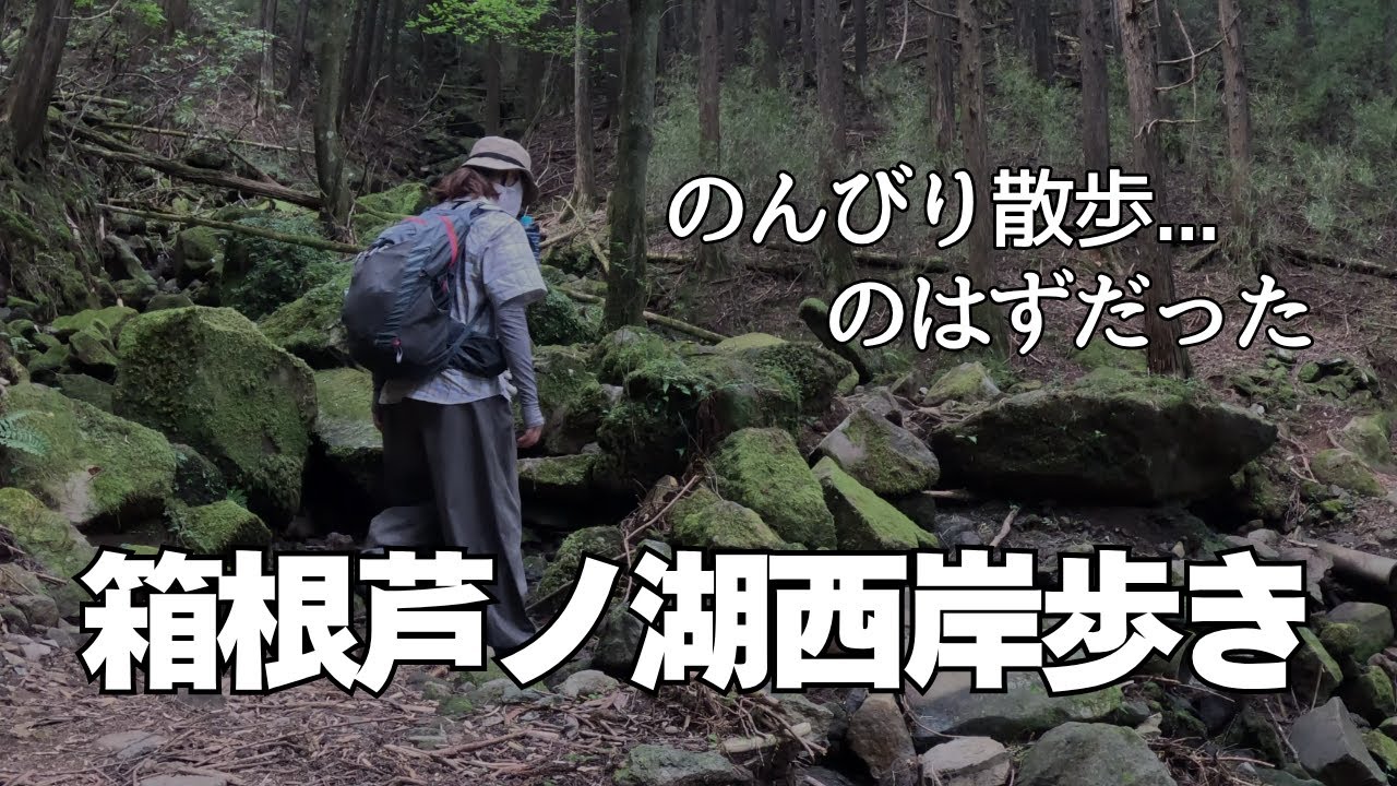 神奈川の山に登ってみる【箱根芦ノ湖西岸散歩】笹薮だらけの山歩、もうここは歩かないと思う（笑）ここでしか見られない景色もありました【初心者OK】