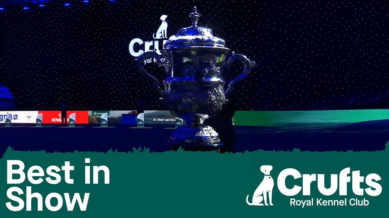 Best in Show and Presentation | Crufts 2026