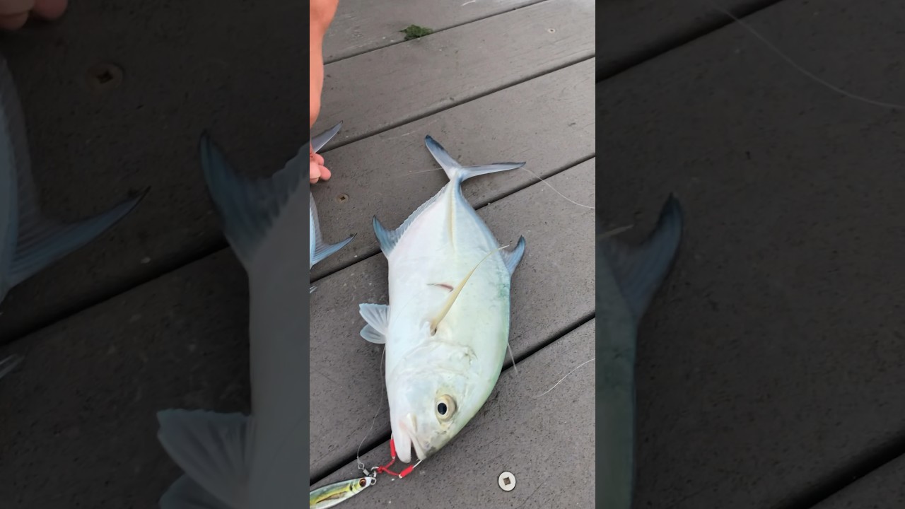 Mines bigger 😏😂| 