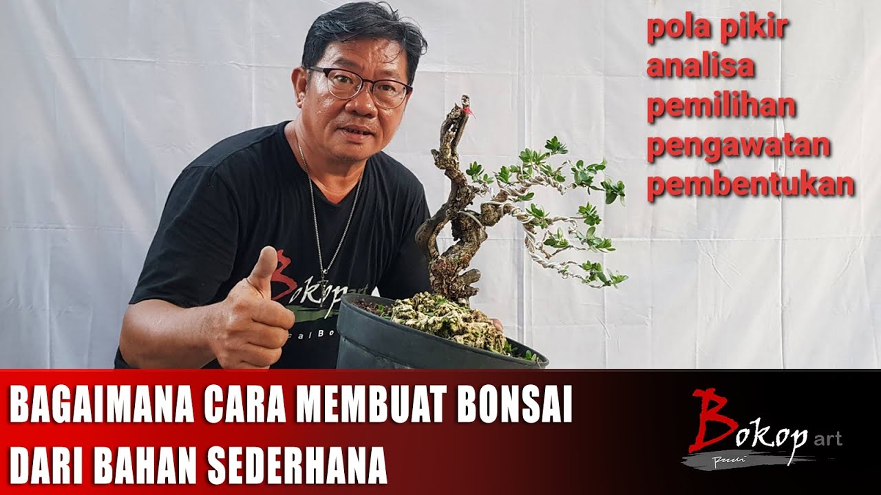 BAGAIMANA CARA MEMBUAT BONSAI dari BAHAN SEDERHANA
